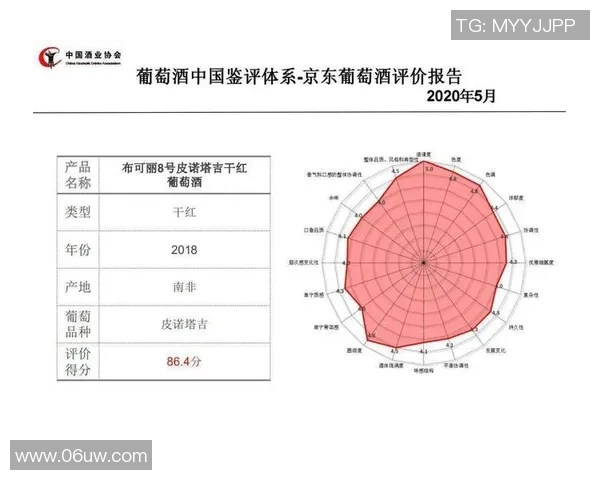 校园足球星级标准评定体系及其对学校体育发展的影响分析