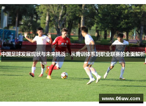 中国足球发展现状与未来挑战：从青训体系到职业联赛的全面解析