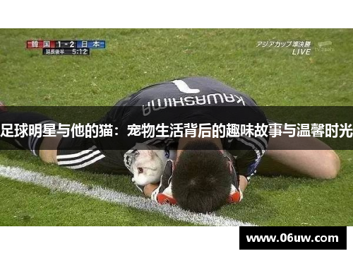足球明星与他的猫：宠物生活背后的趣味故事与温馨时光